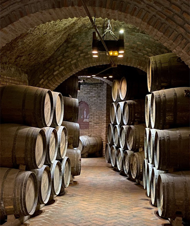 Vino y Gastronomia Apartamento Turistico Las 5 Bes